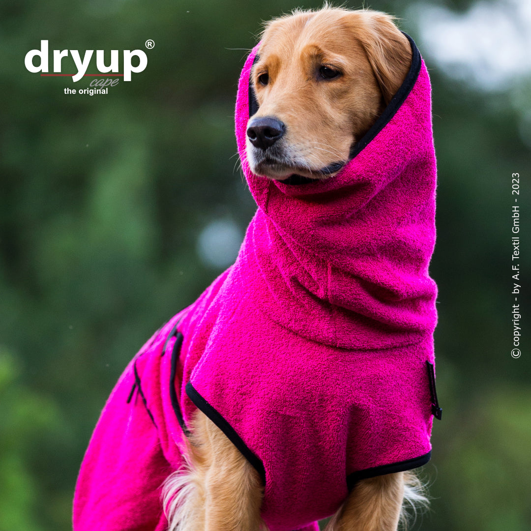dryup® cape - Der original Hundebademantel - XS-XXL