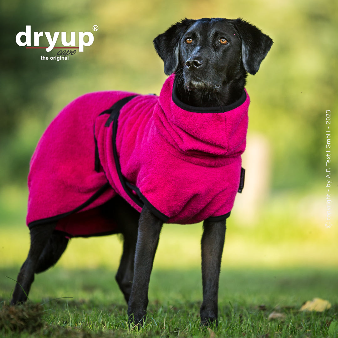 dryup® cape - Der original Hundebademantel - XS-XXL