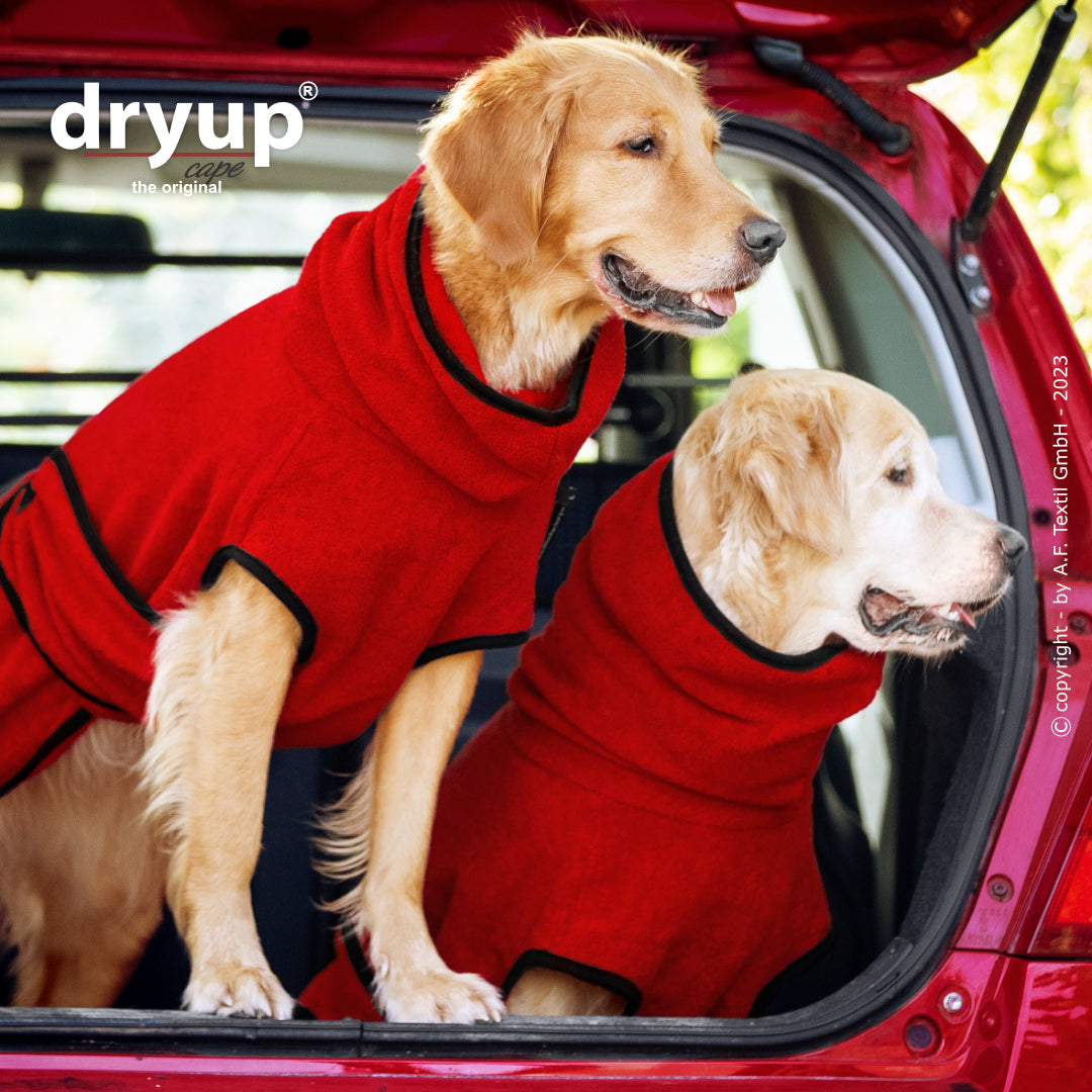 dryup® cape - Der original Hundebademantel - XS-XXL