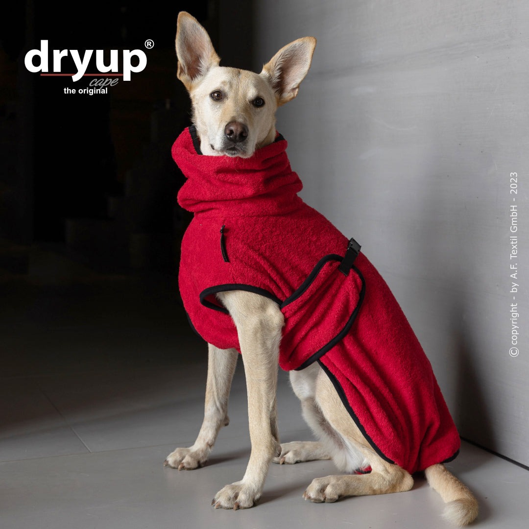 dryup® cape - Der original Hundebademantel - XS-XXL