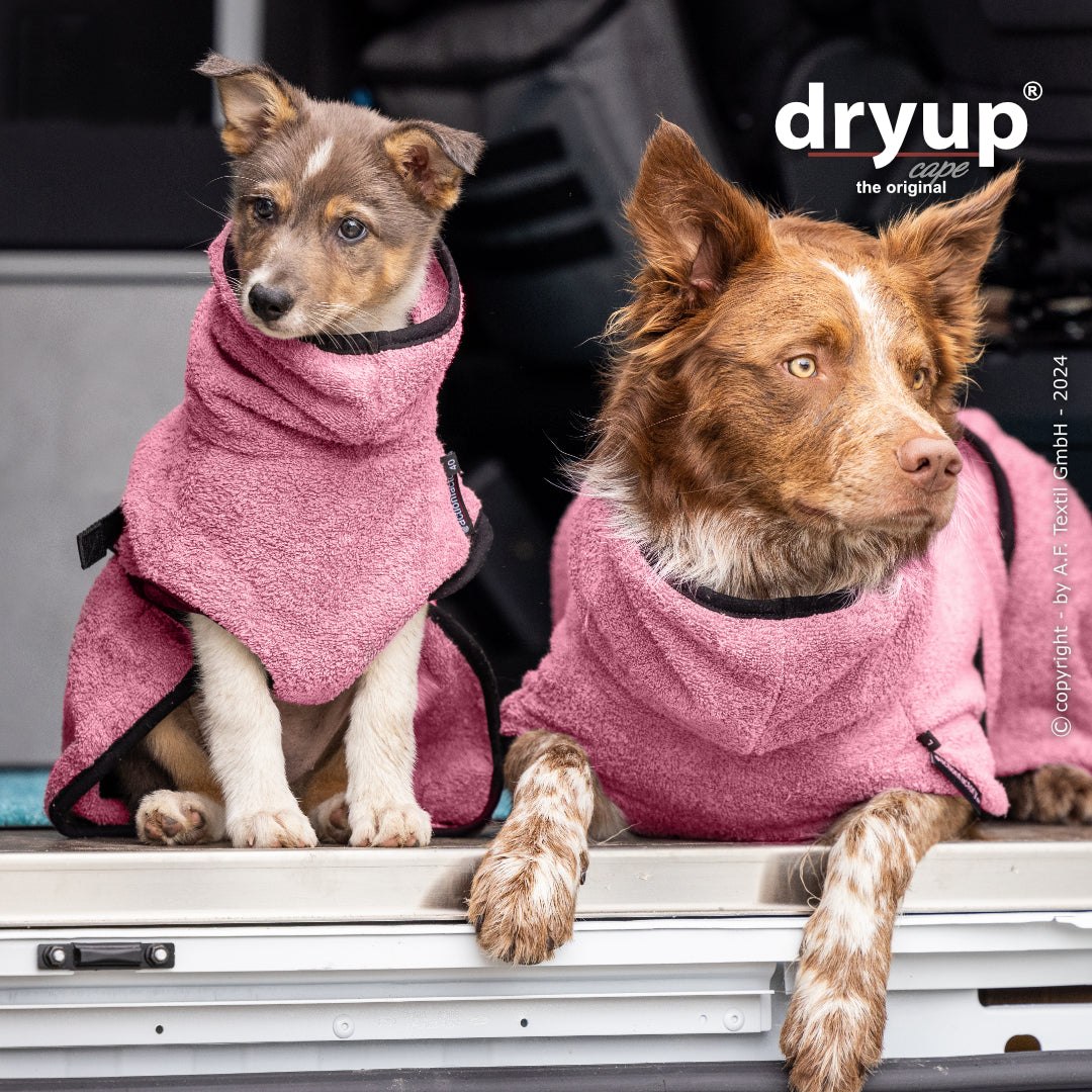 dryup® cape - Der original Hundebademantel - XS-XXL