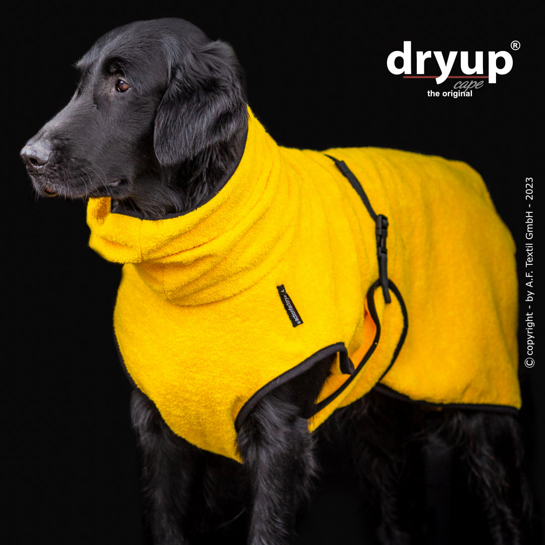 dryup® cape - Der original Hundebademantel - XS-XXL