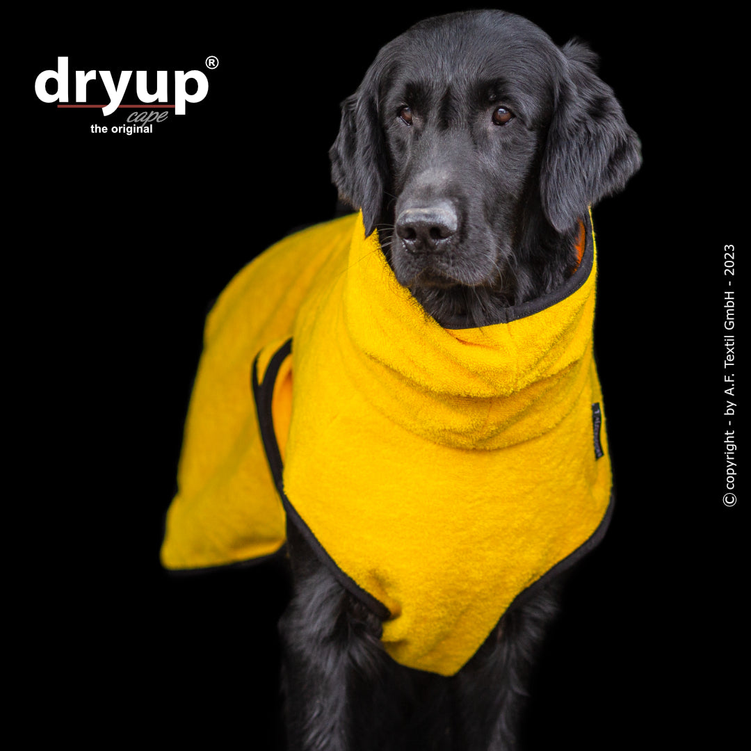 dryup® cape - Der original Hundebademantel - XS-XXL