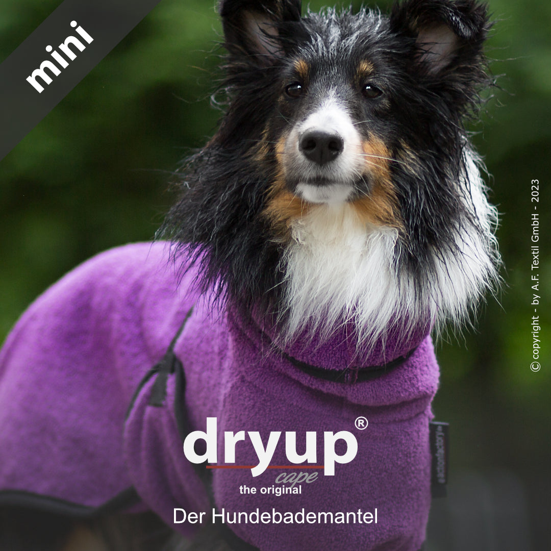 dryup® cape - Der original Hundebademantel - mini