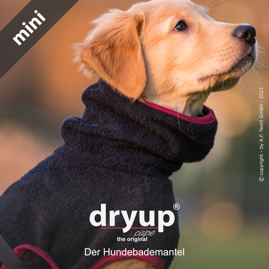 dryup® cape - Der original Hundebademantel - mini