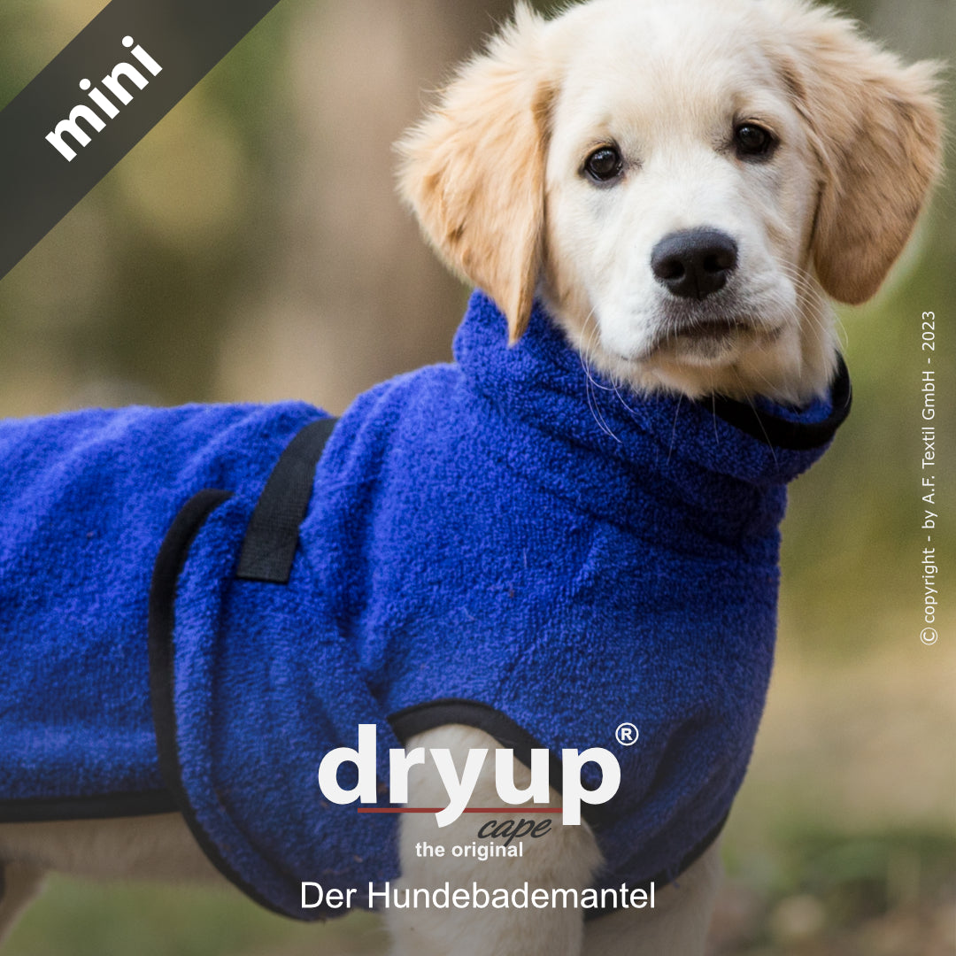 dryup® cape - Der original Hundebademantel - mini