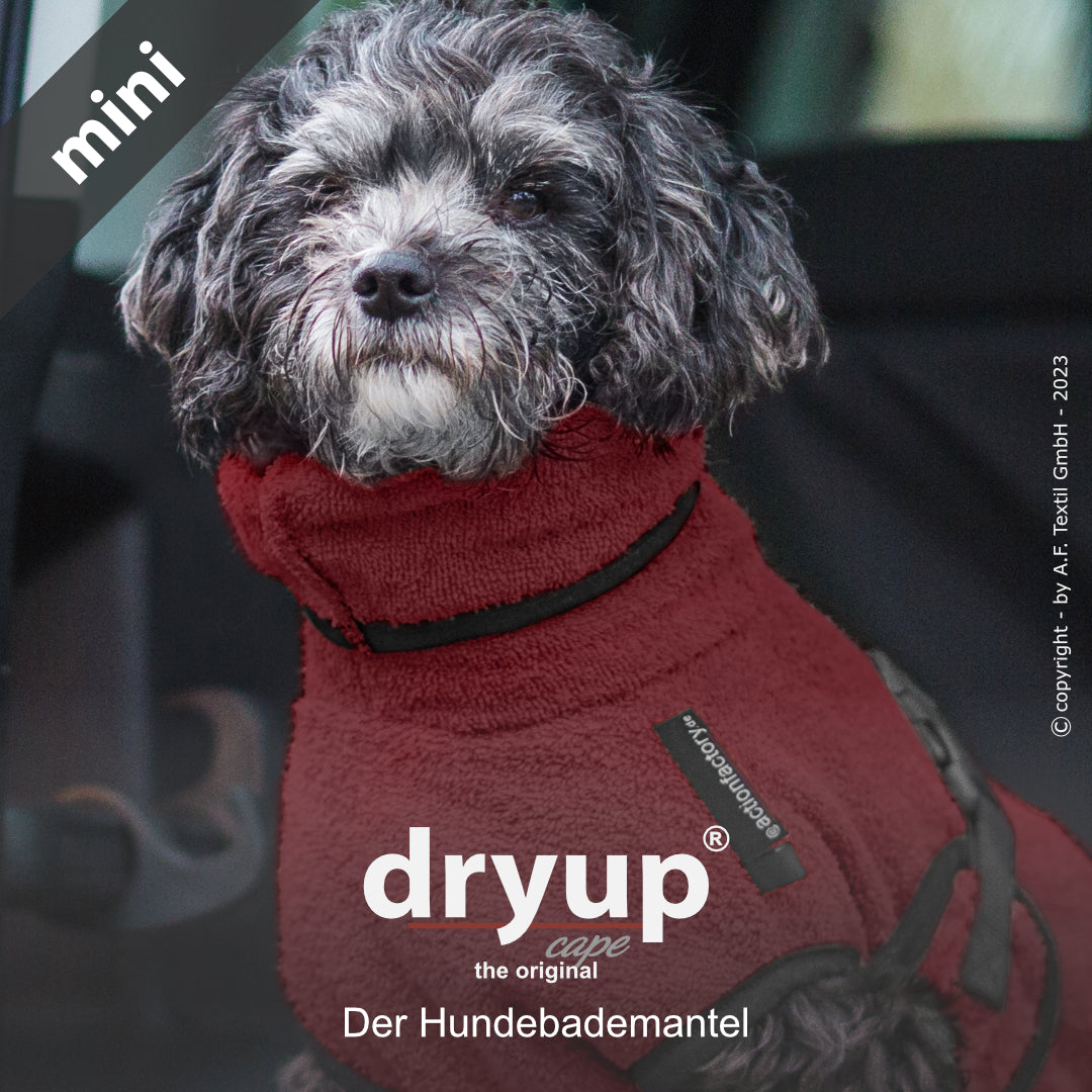 dryup® cape - Der original Hundebademantel - mini