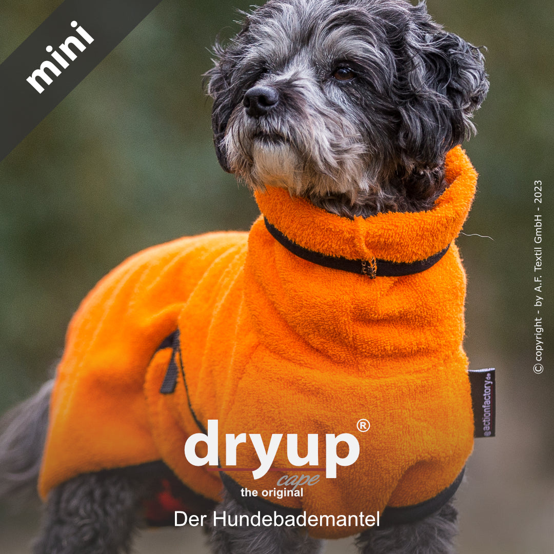 dryup® cape - Der original Hundebademantel - mini