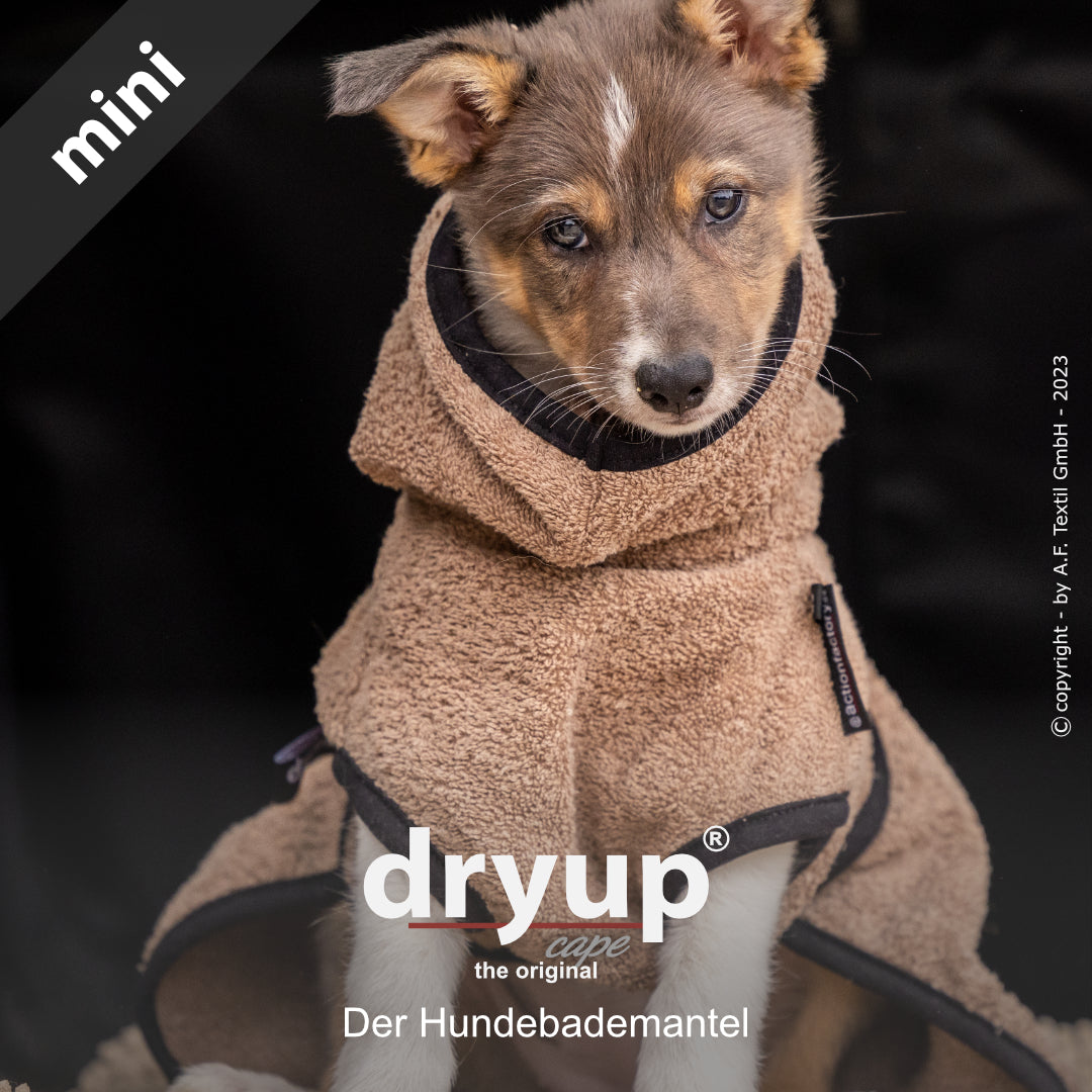 dryup® cape - Der original Hundebademantel - mini