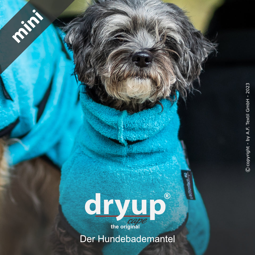 dryup® cape - Der original Hundebademantel - mini