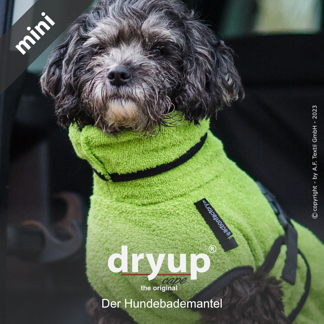 dryup® cape - Der original Hundebademantel - mini