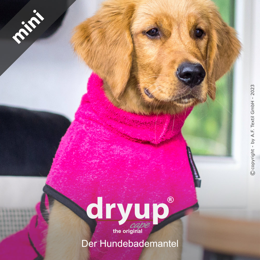 dryup® cape - Der original Hundebademantel - mini