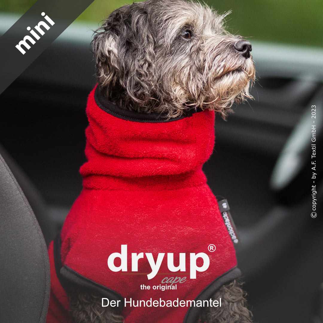 dryup® cape - Der original Hundebademantel - mini
