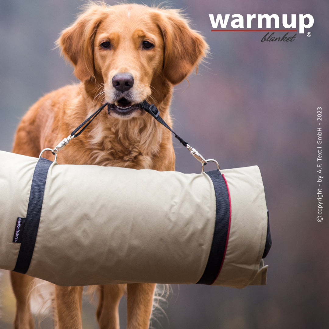 warmup© blanket